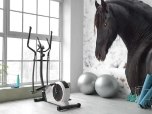 Outlet Fries Paard in de sneeuw fotobehang Kinderkamer | Dieren