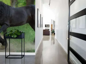 New Fries Paard op een Zandweg fotobehang Dieren