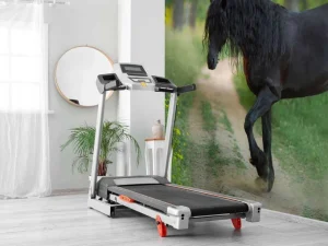 New Fries Paard op een Zandweg fotobehang Dieren