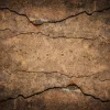 Sale Gebroken bruin cement fotobehang Oppervlakten