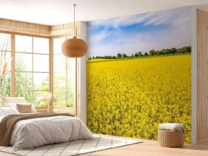 Outlet Gele koolzaadvelden fotobehang Bloemen