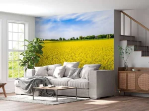 Outlet Gele koolzaadvelden fotobehang Bloemen