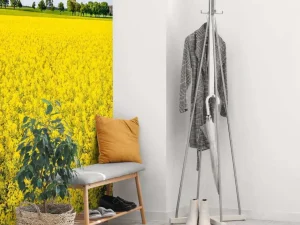 Outlet Gele koolzaadvelden fotobehang Bloemen