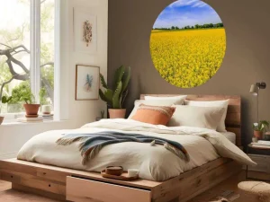 Outlet Gele koolzaadvelden fotobehang Bloemen