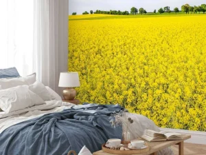 Outlet Gele koolzaadvelden fotobehang Bloemen