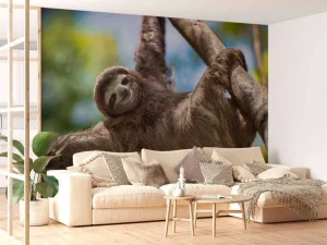 Fashion Gelukkige luiaard in het oerwoud fotobehang Dieren