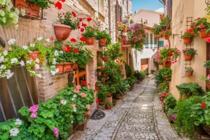 New Gezellig straatje met bloemen in Italië fotobehang Bloemen | Architectuur