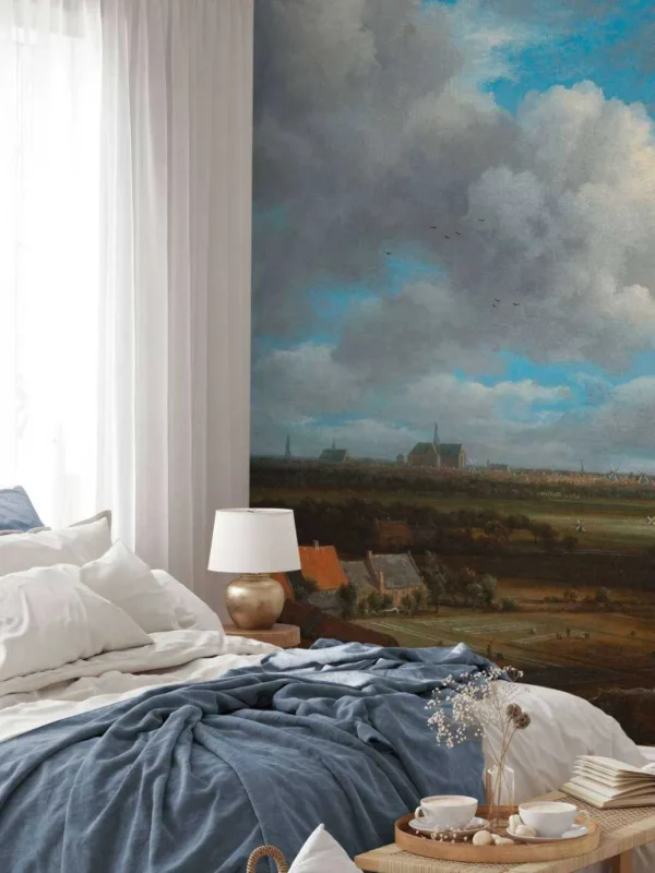 Fashion Gezicht op Haarlem uit het noordwesten fotobehang Kunst & Design