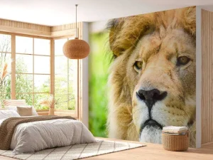 Online Gezicht van een Mooie Leeuw fotobehang Dieren