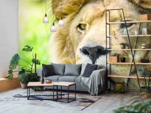 Online Gezicht van een Mooie Leeuw fotobehang Dieren