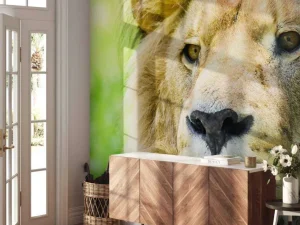 Online Gezicht van een Mooie Leeuw fotobehang Dieren