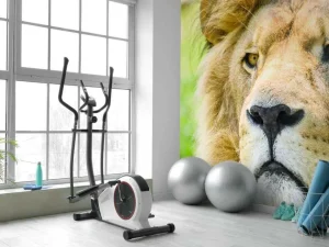 Online Gezicht van een Mooie Leeuw fotobehang Dieren