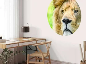Online Gezicht van een Mooie Leeuw fotobehang Dieren