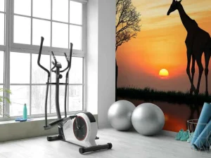 Hot Giraffe achtergrond met zonsondergang fotobehang Dieren