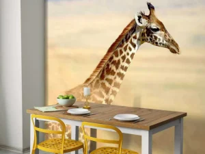 Sale Giraffe in Nationaal Park van Kenia fotobehang Dieren