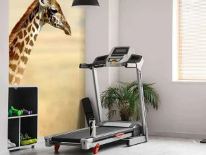 Sale Giraffe in Nationaal Park van Kenia fotobehang Dieren