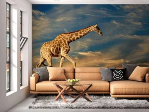 Hot Giraffe in Zuid-Afrika lopend op zand fotobehang Dieren