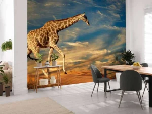 Hot Giraffe in Zuid-Afrika lopend op zand fotobehang Dieren