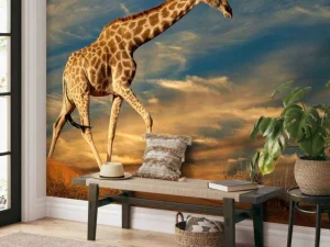 Hot Giraffe in Zuid-Afrika lopend op zand fotobehang Dieren