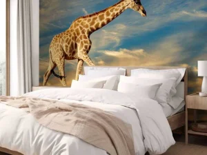 Hot Giraffe in Zuid-Afrika lopend op zand fotobehang Dieren