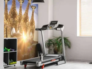Outlet Giraffen bij zonsondergang fotobehang Dieren | 3d