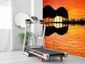 Sale Gitaar in de natuur fotobehang Tienerkamer