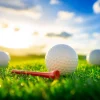 New Golfballen met houder op kunstgras fotobehang Kinderkamer | Sport