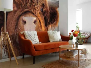 Online Grappige Portretfoto van Hooglander fotobehang Dieren