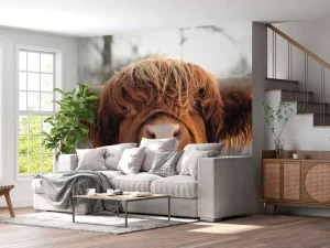 Online Grappige Portretfoto van Hooglander fotobehang Dieren