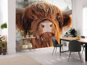 Online Grappige Portretfoto van Hooglander fotobehang Dieren