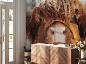Online Grappige Portretfoto van Hooglander fotobehang Dieren