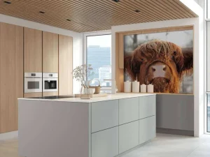 Online Grappige Portretfoto van Hooglander fotobehang Dieren
