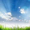 Sale Gras onder prachtige wolken fotobehang Tienerkamer | Kinderkamer