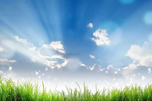 Sale Gras onder prachtige wolken fotobehang Tienerkamer | Kinderkamer
