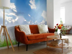 Sale Gras onder prachtige wolken fotobehang Tienerkamer | Kinderkamer