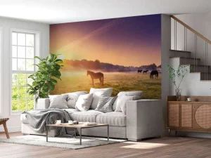 Sale Grazende paarden bij zonsondergang fotobehang Tienerkamer | Kinderkamer