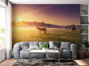 Sale Grazende paarden bij zonsondergang fotobehang Tienerkamer | Kinderkamer