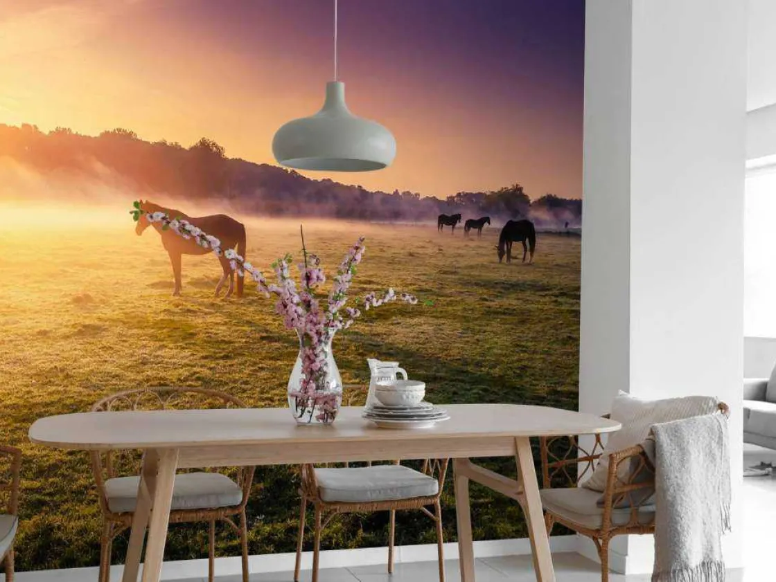 grazende_paarden_bij_zons_3.webp Sale Grazende paarden bij zonsondergang fotobehang Tienerkamer | Kinderkamer