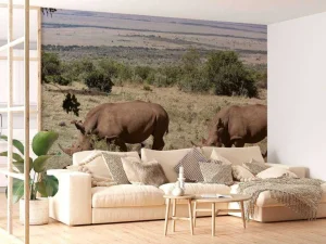 Best Grazende witte neushoorns fotobehang Dieren