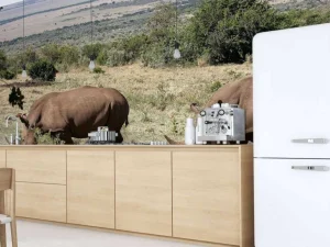 Best Grazende witte neushoorns fotobehang Dieren