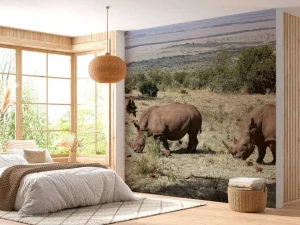 Best Grazende witte neushoorns fotobehang Dieren