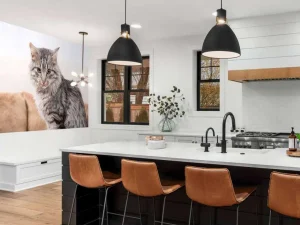 Best Grijze kat zit in een mand fotobehang Tienerkamer | Dieren