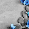 Clearance Grijze stenen met een blauwe vlinder en bloemen fotobehang Oppervlakten | Bloemen