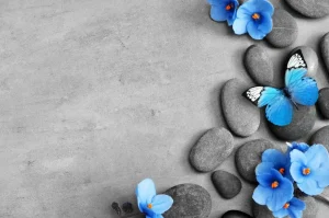Clearance Grijze stenen met een blauwe vlinder en bloemen fotobehang Oppervlakten | Bloemen