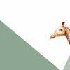 Discount Groene driehoeken met giraffe Kinderkamer | Dieren