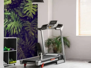 Discount Groene Monstera Bladeren fotobehang Bloemen