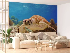 Discount Groene zeeschildpad aan het zwemmen fotobehang Dieren