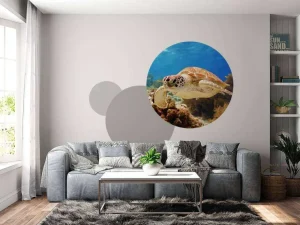 Discount Groene zeeschildpad aan het zwemmen fotobehang Dieren