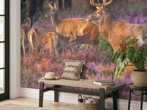Outlet Groep herten op de Veluwe fotobehang Dieren