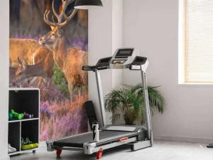 Outlet Groep herten op de Veluwe fotobehang Dieren